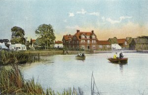 Horning