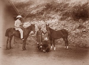 Caballos en Simla, Queen Mab y Gladys de English Photographer