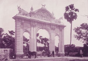 Hospital para Animales, Bombay