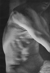 Ilustración para El Cuerpo Masculino de English Photographer