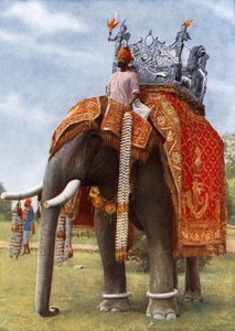 La India inmemorial: Su color y su magia (foto en color)