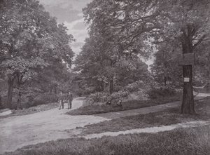En el Bosque de la Reina, Highgate de English Photographer
