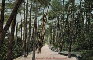 Paseo del inválido, Bournemouth de English Photographer