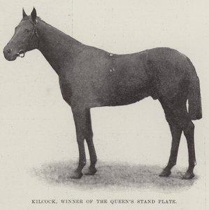 Kilcock, ganador del Queens Stand Plate de English Photographer