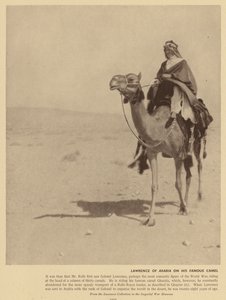 Lawrence de Arabia en este famoso camello (foto b/n) de English Photographer