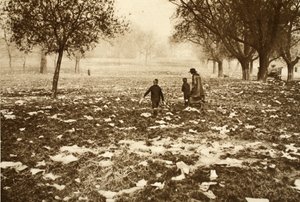 Césped lleno de basura en Hampstead Heath el día después de un feriado bancario, de Wonderful London, publicado 1926-27 de English Photographer