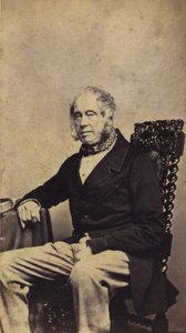 Lord Palmerston de English Photographer