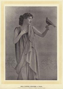 Miss Connie Collier: un estudio