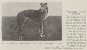 El Farndon Ferry de Mr G F Fawcett, Ganador de la Copa Waterloo, 1902 de English Photographer