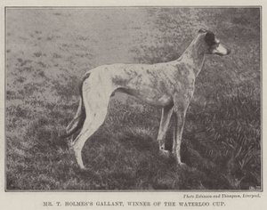 El Sr. T Holmes Gallant, ganador de la Copa Waterloo de English Photographer