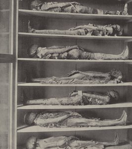 Momias de sacerdotes, Los cuerpos de sacerdotes embalsamados antes de que Aarón y sus hijos fueran nombrados