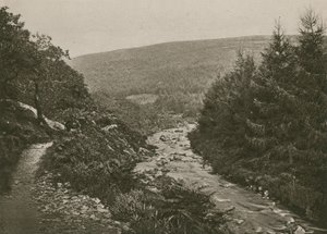 Camino por Bagworthy Water, Valle de Doone de English Photographer