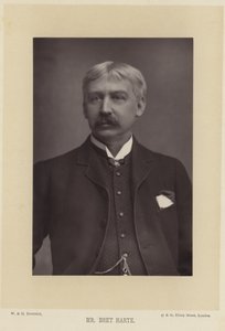 Retrato de Bret Harte de English Photographer