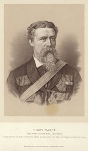 Retrato del Coronel William Hicks de English Photographer
