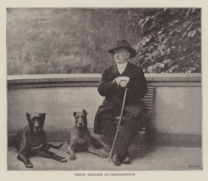 El Príncipe Bismarck en Friedrichsruh de English Photographer