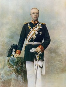 Príncipe Enrique de los Países Bajos