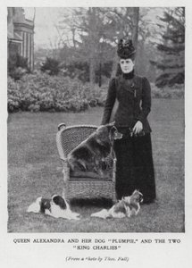 Reina Alexandra con su perro, Plumpie, y sus dos spaniels King Charles de English Photographer