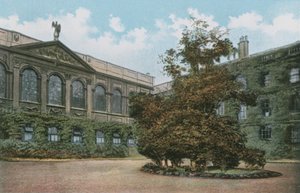 Queens College de English Photographer