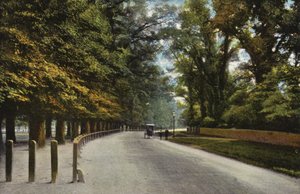 Queens Road, los Backs de English Photographer