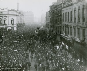 Demostración de reforma, 21 de julio de 1884, fotografía de English Photographer