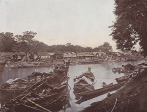 Escena en Mandelay Creek de English Photographer
