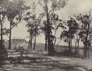 Escena en el camino de Gembrook, Victoria de English Photographer
