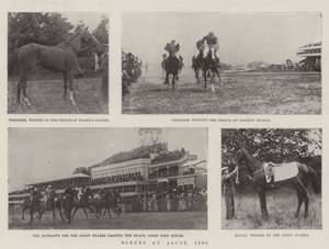 Escenas en Ascot, 1901 de English Photographer