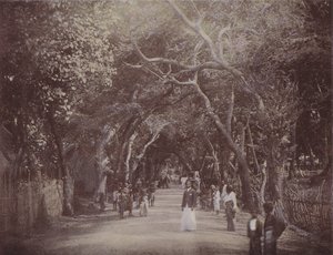 Skinners Road, Colombo de English Photographer