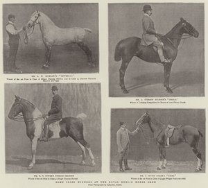 Algunos ganadores de premios en el Royal Dublin Horse Show de English Photographer