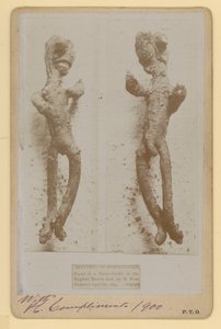 Especimen de rábano picante