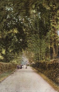 Camino Spencer, Ryde de English Photographer