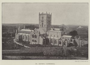 Catedral de San David