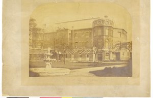 Hospital de St. Thomas, Surrey Gardens de English Photographer