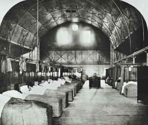 St Thomas Hospital: sala temporal en Surrey Gardens Music Hall, 1868 de English Photographer