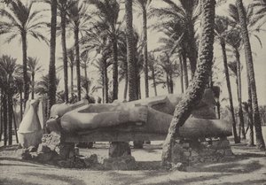 Estatua de Ramsés II, yaciendo en la ciudad que Jeremías dijo que estaría deshabitada