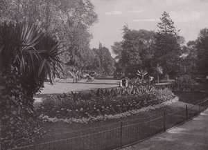 Jardines Subtropicales, Parque Battersea de English Photographer