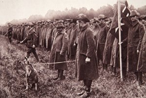 La revisión de Anzac en Salisbury Plain: una mascota australiana, ilustración de The Illustrated War News, 27 de septiembre de 1916 de English Photographer