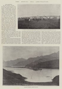 El arbitraje del mar de Bering