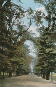 El Paseo Ancho de English Photographer