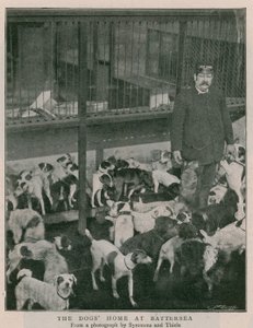 El hogar de los perros en Battersea de English Photographer
