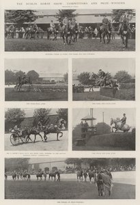 La Exposición de Caballos de Dublín, Competidores y Ganadores de Premios de English Photographer