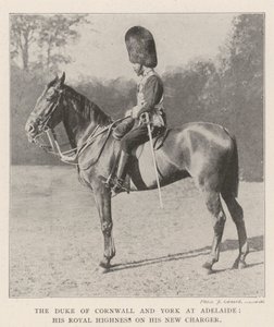 El Duque de Cornualles y York en Adelaida, Su Alteza Real en su Nuevo Caballo de English Photographer