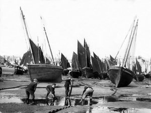 La flota pesquera en el puerto de St Ives, c.1880-99 de English Photographer