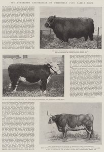 El centenario de la Exposición de Ganado del Club Smithfield
