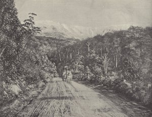 El camino de Huon de English Photographer