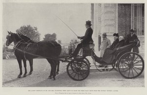 Los Últimos Retratos del Sr. y la Sra. Gladstone, cuando estaban a punto de salir para su Paseo Diario desde el Chateau Thorenc, Cannes de English Photographer