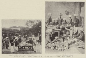 El Instituto de Vacunas del Gobierno de Madrás, Bangalore de English Photographer