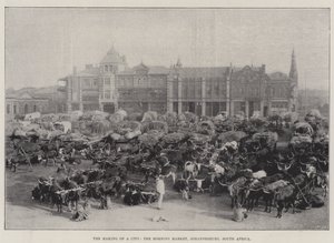 La Creación de una Ciudad, el Mercado Matutino, Johannesburgo, Sudáfrica