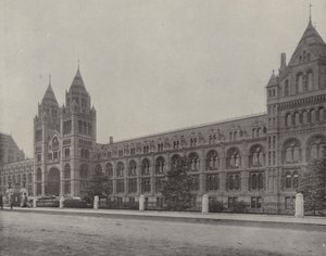 Museo de Historia Natural (foto en blanco y negro)