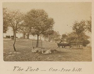 El Parque - One Tree Hill, Greenwich de English Photographer